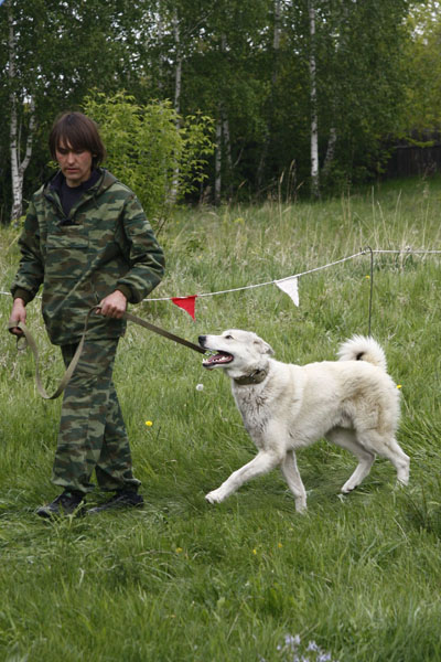 ov093.JPG