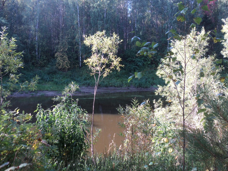 DSC00306