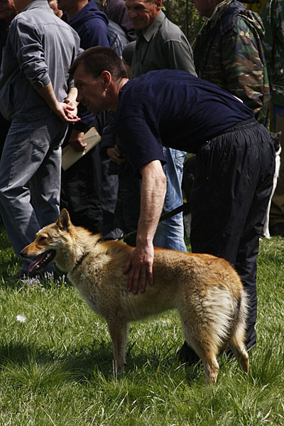 ov055.JPG