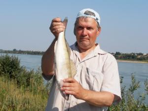 Судак и рыбак. :))