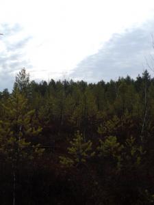 DSC01513.JPG