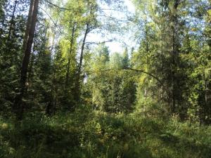 DSC00311