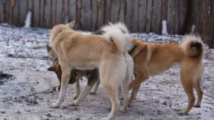 DSC03168.JPG