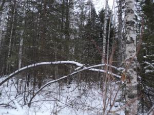 DSC03178.JPG