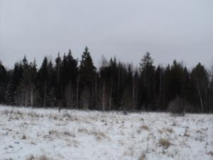 DSC03179_001.JPG