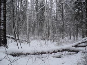 DSC03207.JPG