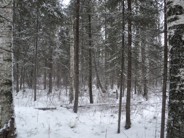 DSC03208.JPG