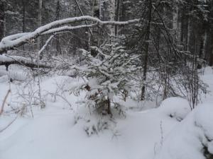 DSC03209.JPG