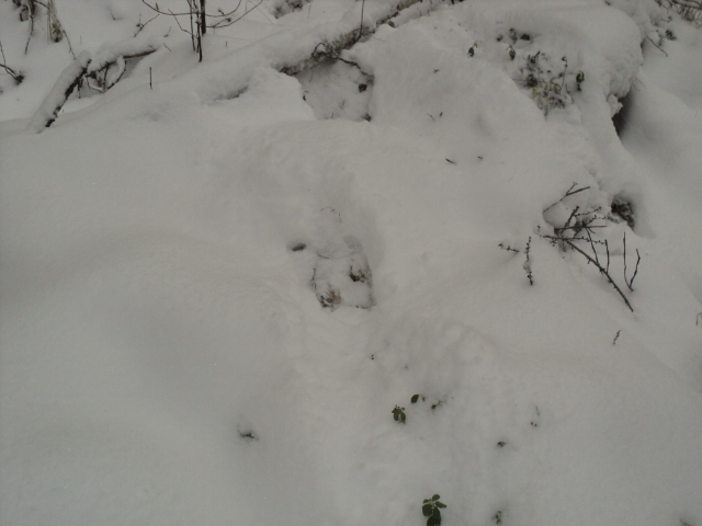DSC03210.JPG