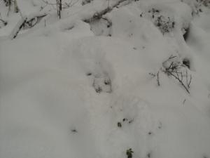 DSC03210.JPG