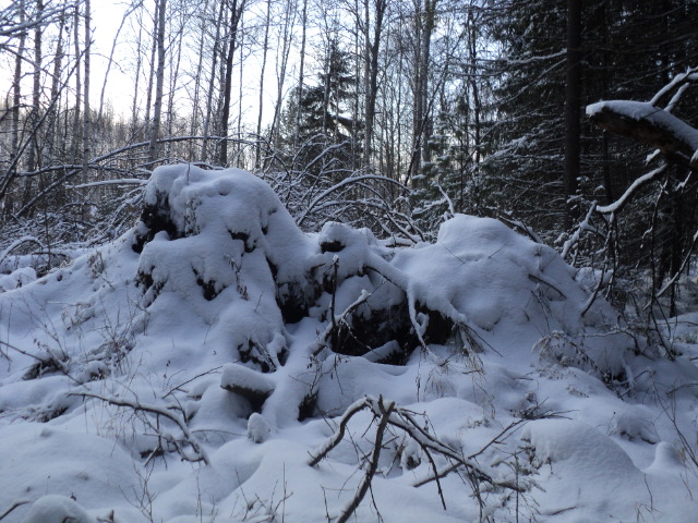 DSC03212.JPG