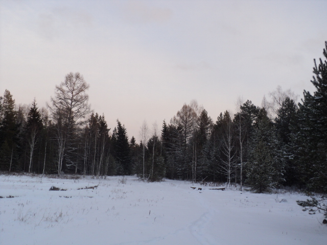 DSC03226.JPG