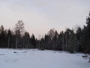 DSC03226.JPG