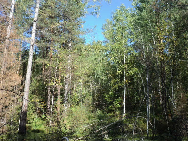 DSC00314