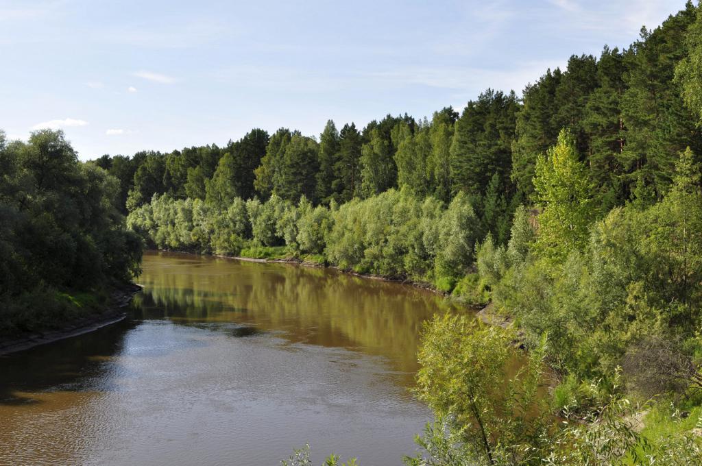 Река Тара