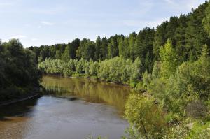 Река Тара