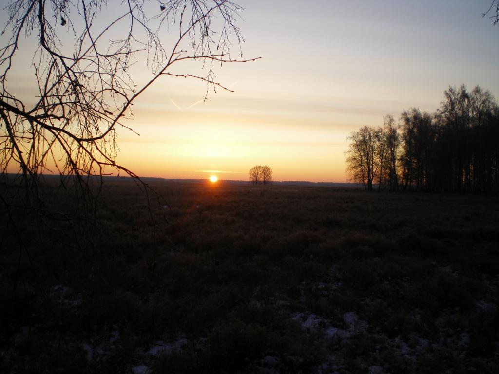 IMGP6141
