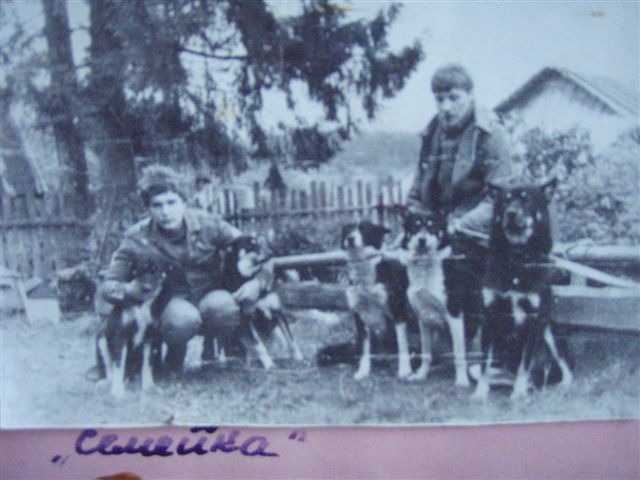 ВСЛ