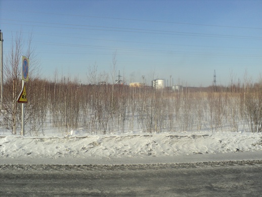 DSC03502-vert.jpg