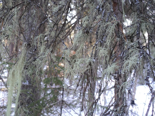 DSC03536-vert.jpg