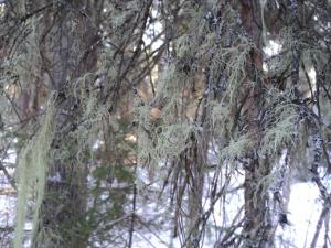 DSC03536-vert.jpg