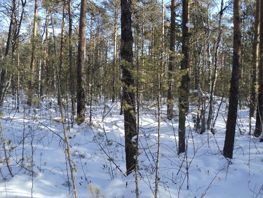 DSC03539-vert.jpg