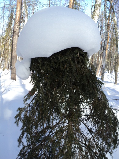 DSC03541-vert.jpg