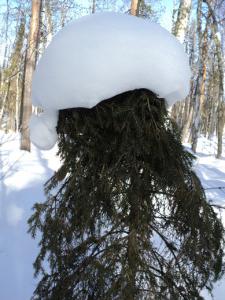 DSC03541-vert.jpg