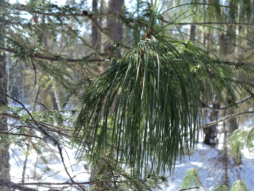 DSC03545-vert.jpg
