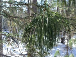 DSC03545-vert.jpg