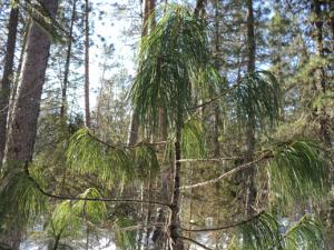DSC03546-vert.jpg