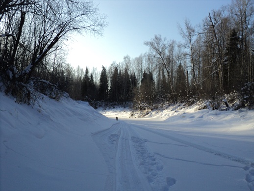 DSC03574-vert.jpg