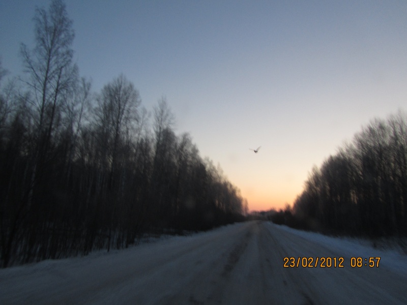 IMG_0793.JPG