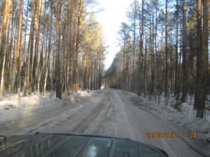 IMG_0804.JPG