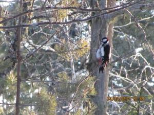 IMG_0837.JPG