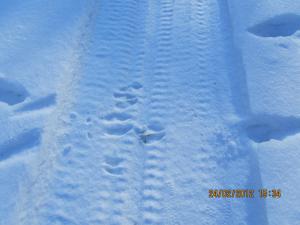 IMG_0858.JPG