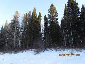 IMG_0884.JPG