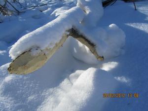 IMG_0901.JPG
