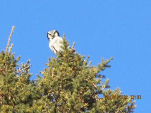 IMG_0911.JPG