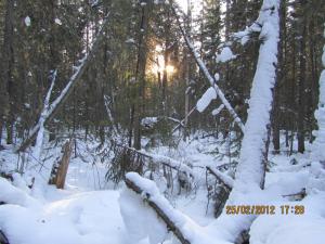 IMG_0923.JPG