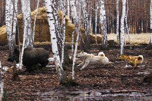 april015
