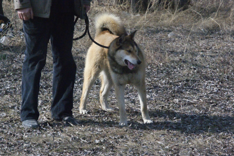 DSC05565
