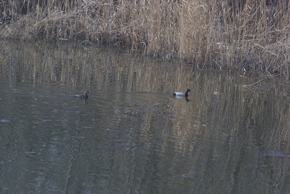 DSC05615.JPG