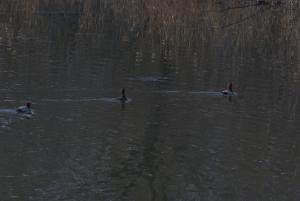 DSC05614.JPG