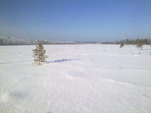 03032012054