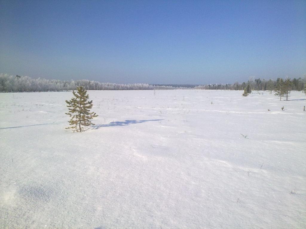 03032012054