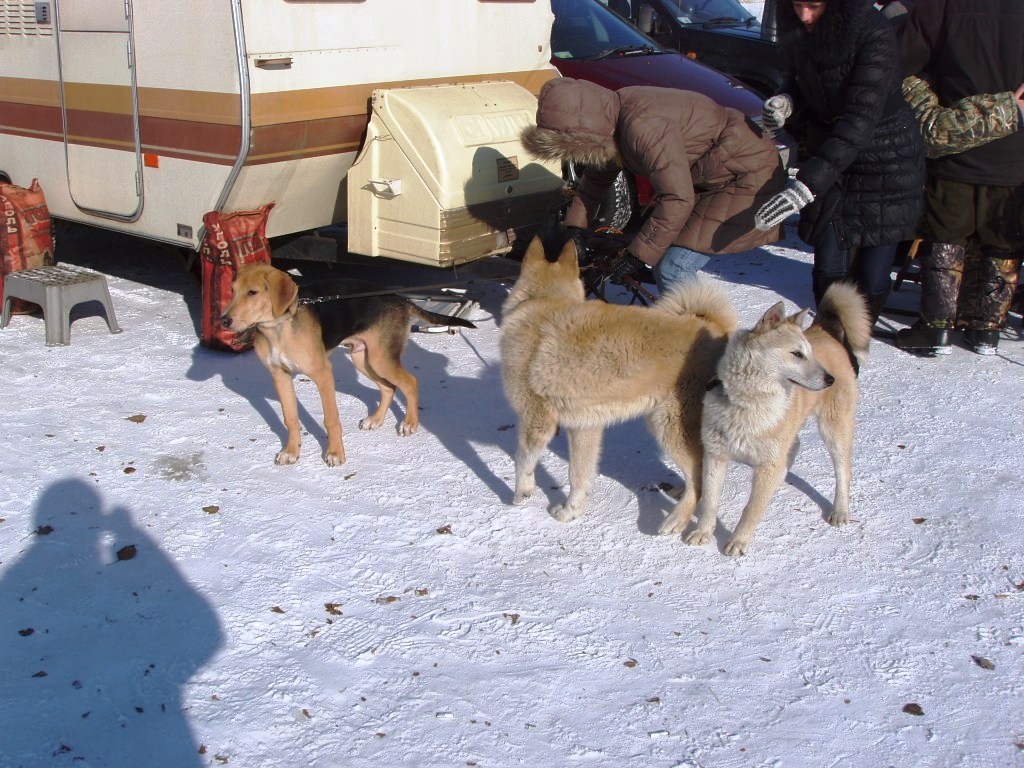 hunter 006.jpg