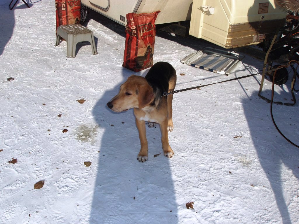 hunter 007.jpg