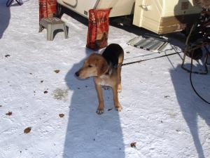 hunter 007.jpg