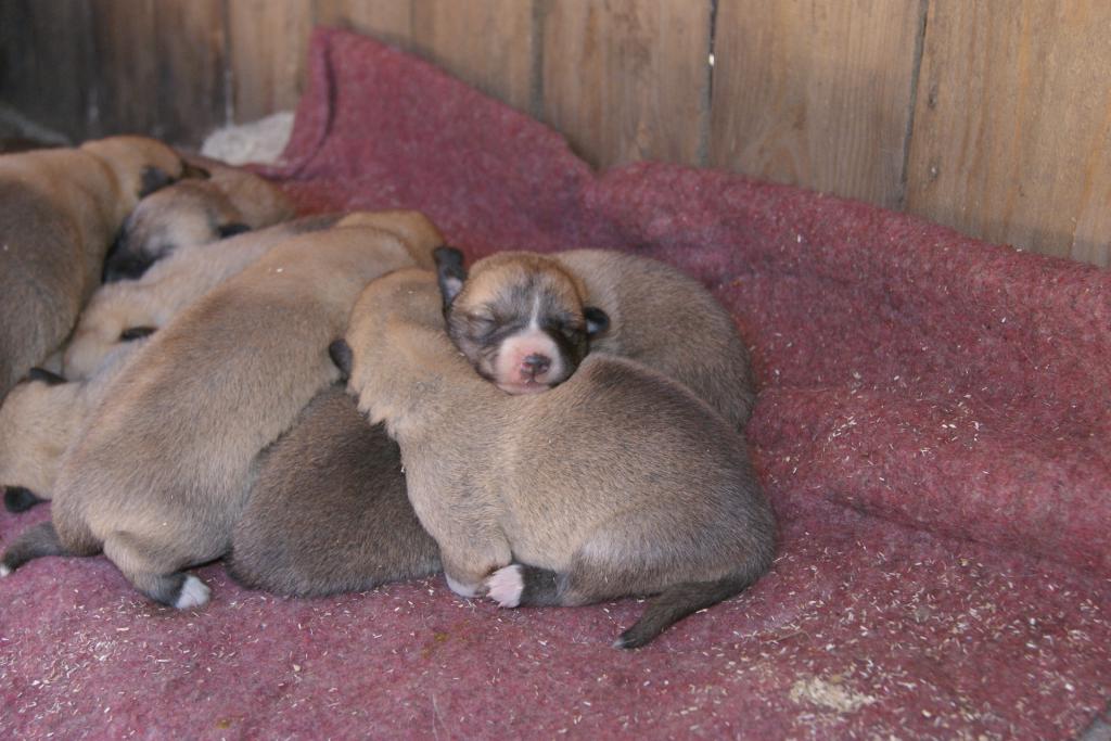 DSC06322.JPG